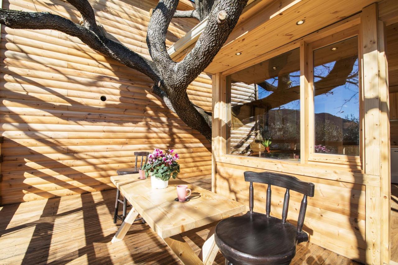 Romantic Tree House Kato Pavliana 外观 照片