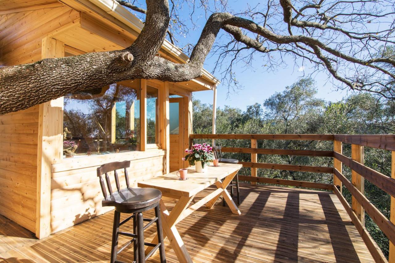 Romantic Tree House Kato Pavliana 外观 照片