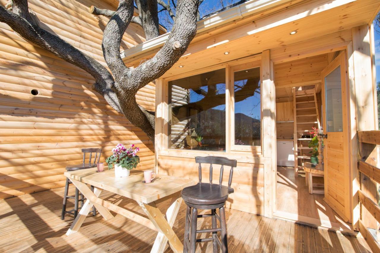 Romantic Tree House Kato Pavliana 外观 照片
