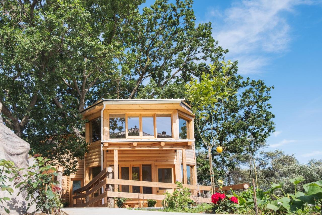 Romantic Tree House Kato Pavliana 外观 照片